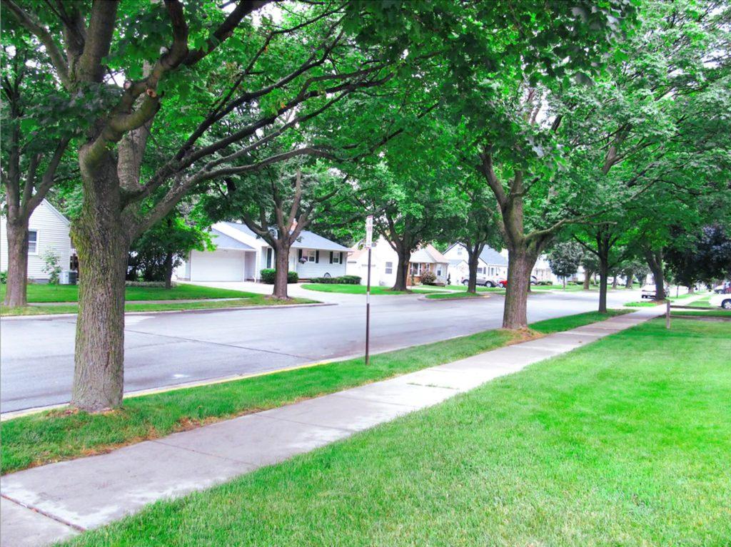 The Impact of Environmental and Neighborhood Characteristics on Physical and Mental Health