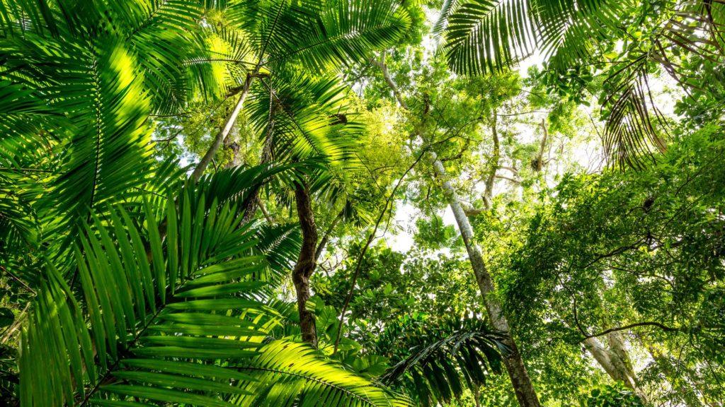 Brasília signals a turning point: rising to the urgent and unrelenting challenge of climate and health