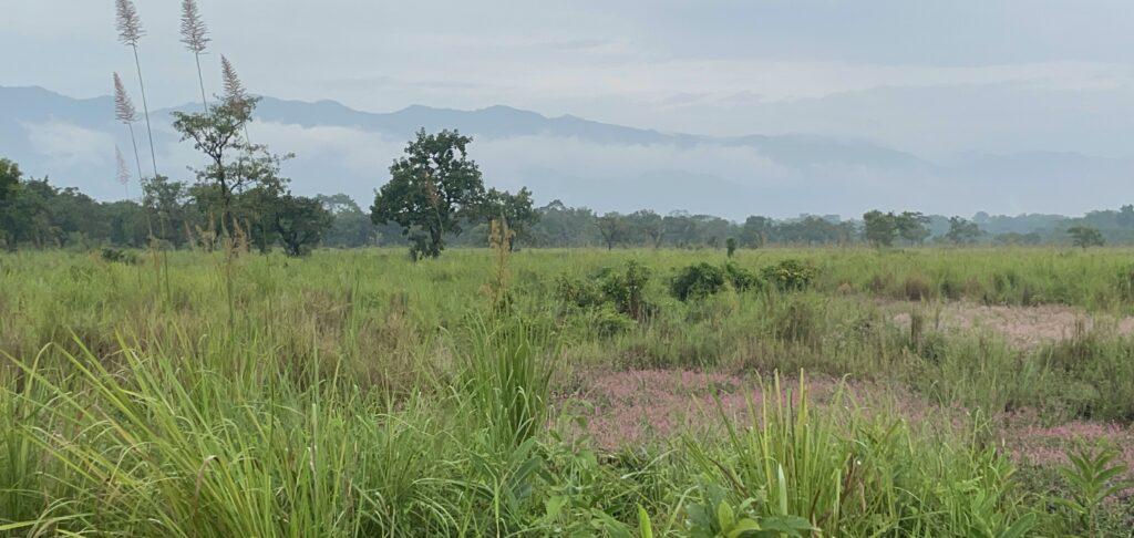 Time to put Scrub Typhus higher on the public health agenda