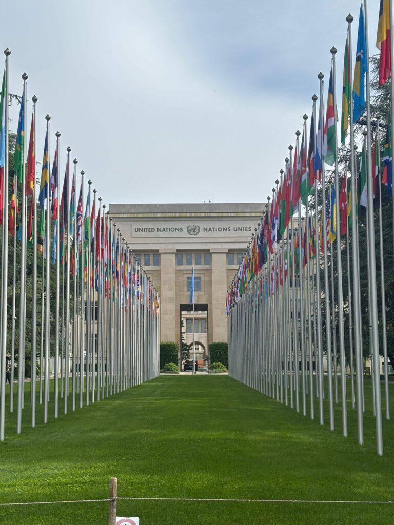 Future WHO leadership in a darkening world: Q&A with global health editors
